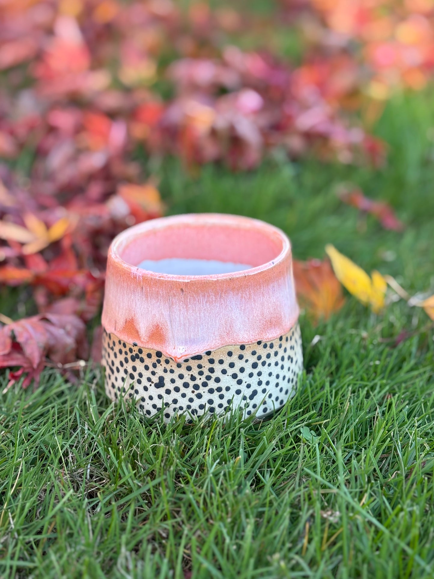 Handleless - Terra Dot Cup