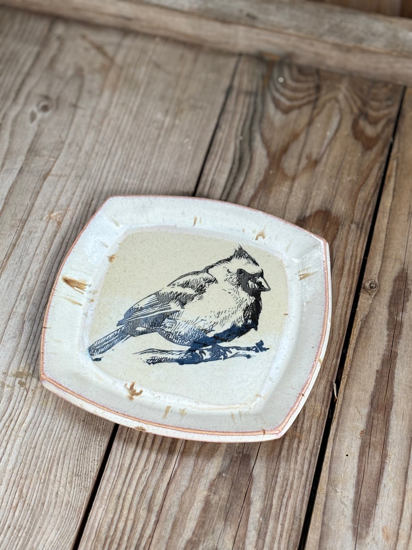 Pink Cardinal Plate - AnnaPoloDesign