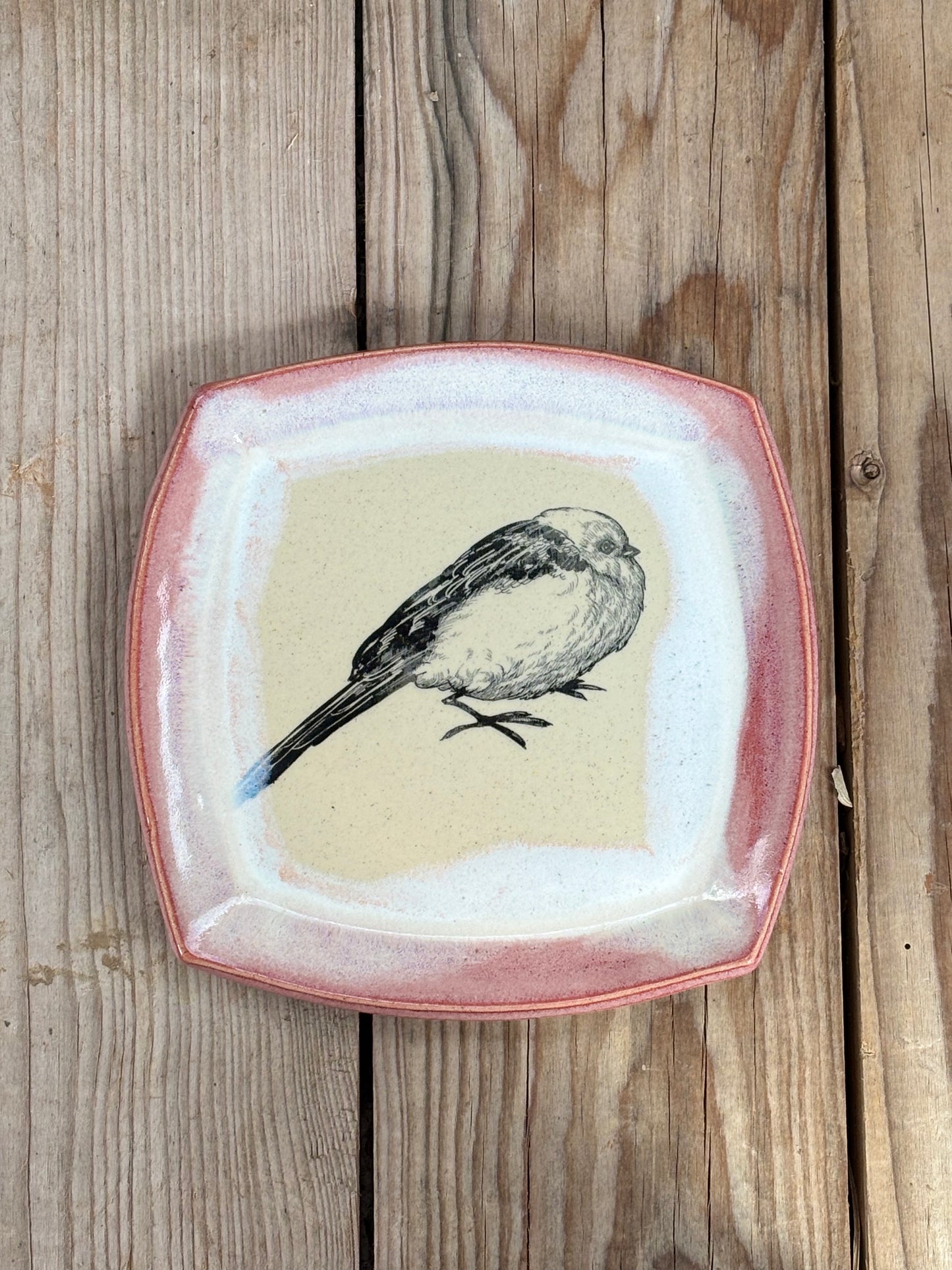 Pink Long-tailed Tit Plate