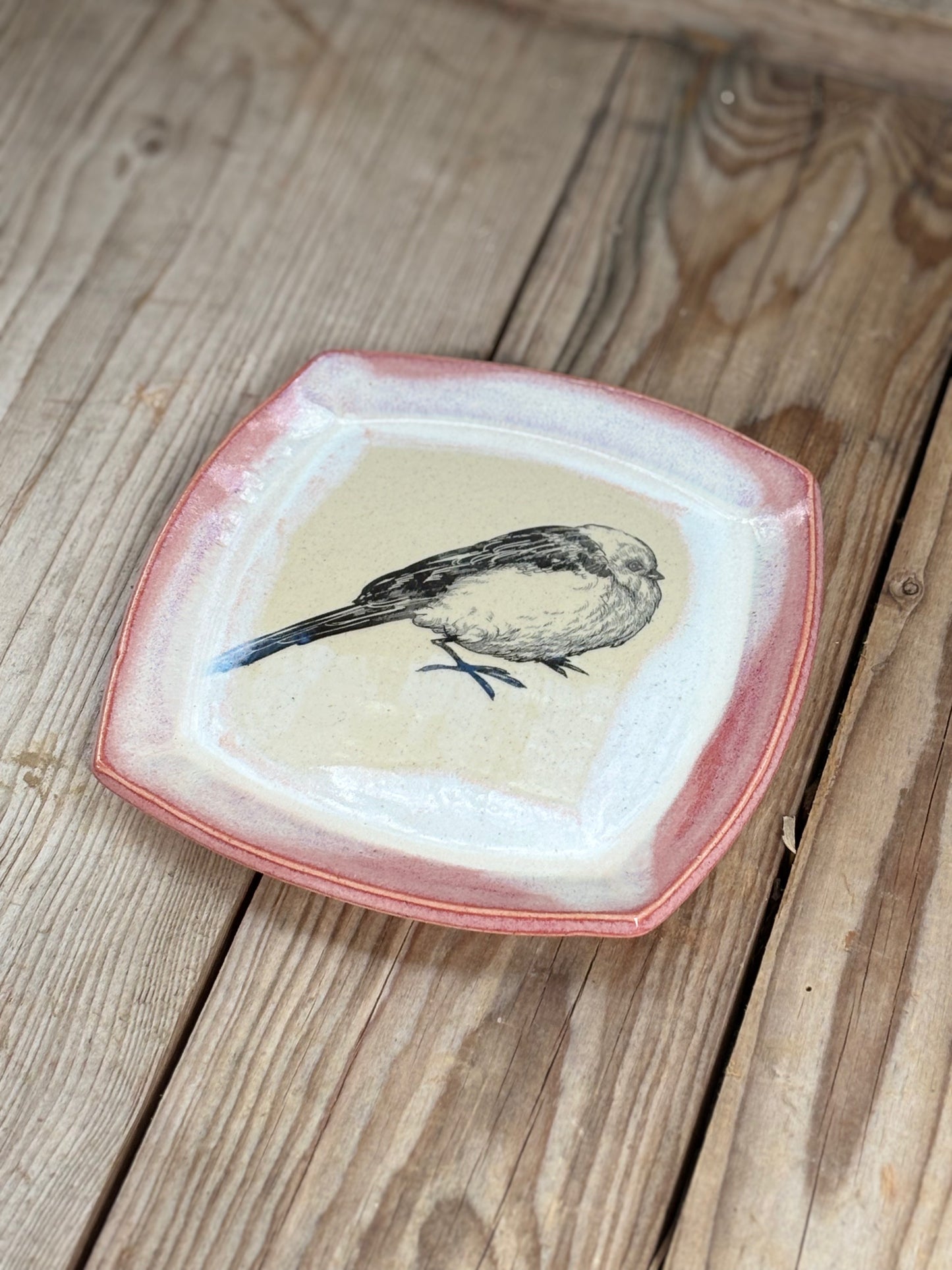 Pink Long-tailed Tit Plate - AnnaPoloDesign