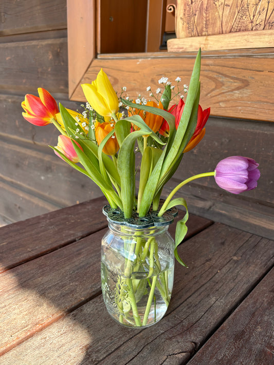 Flower Frogs - AnnaPoloDesign