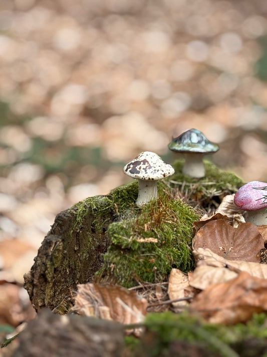 Tiny Mushrooms – Forest Friends for Your Home - AnnaPoloDesign