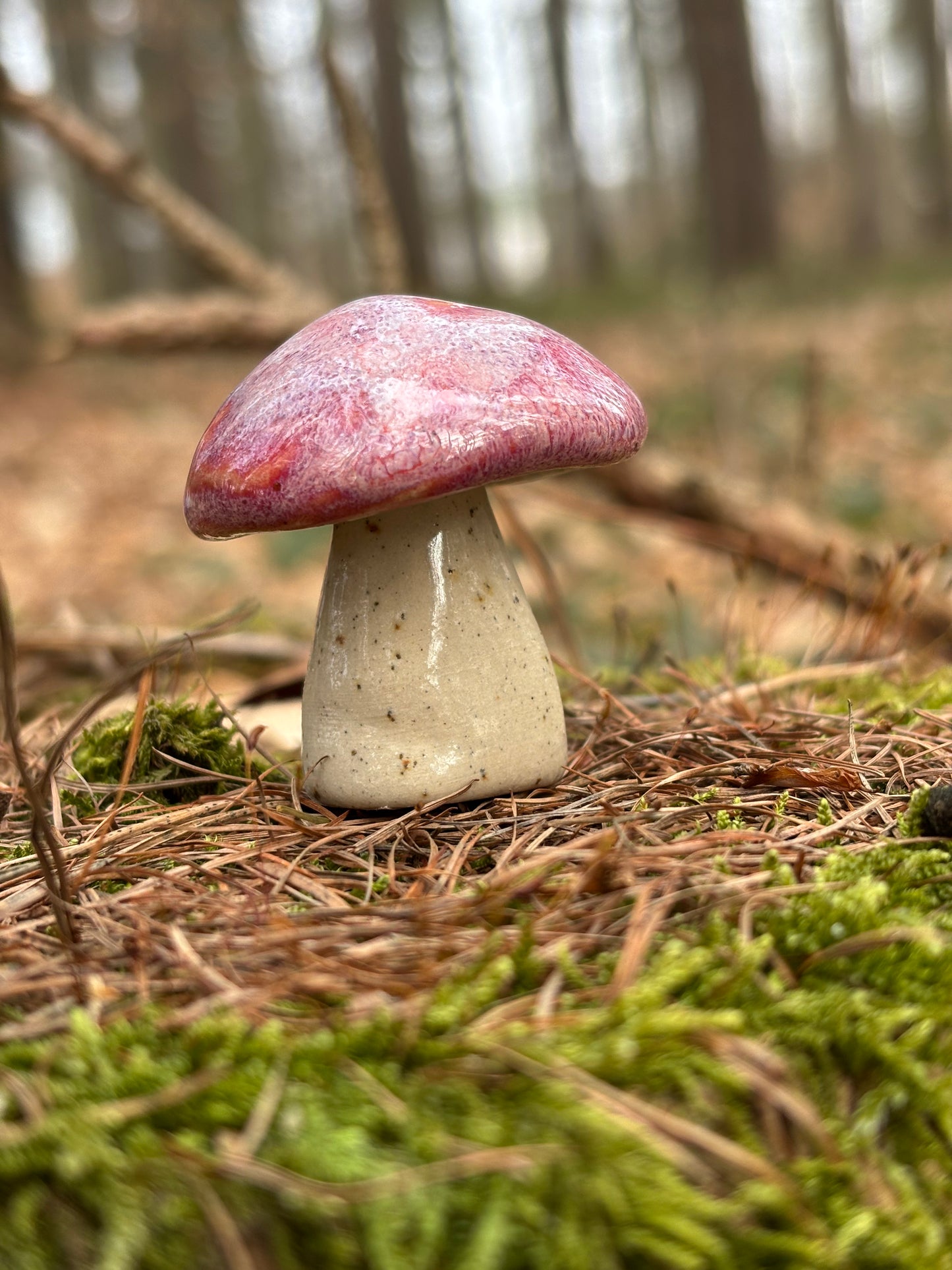 Malí hříbci – lesní přátelé pro váš domov