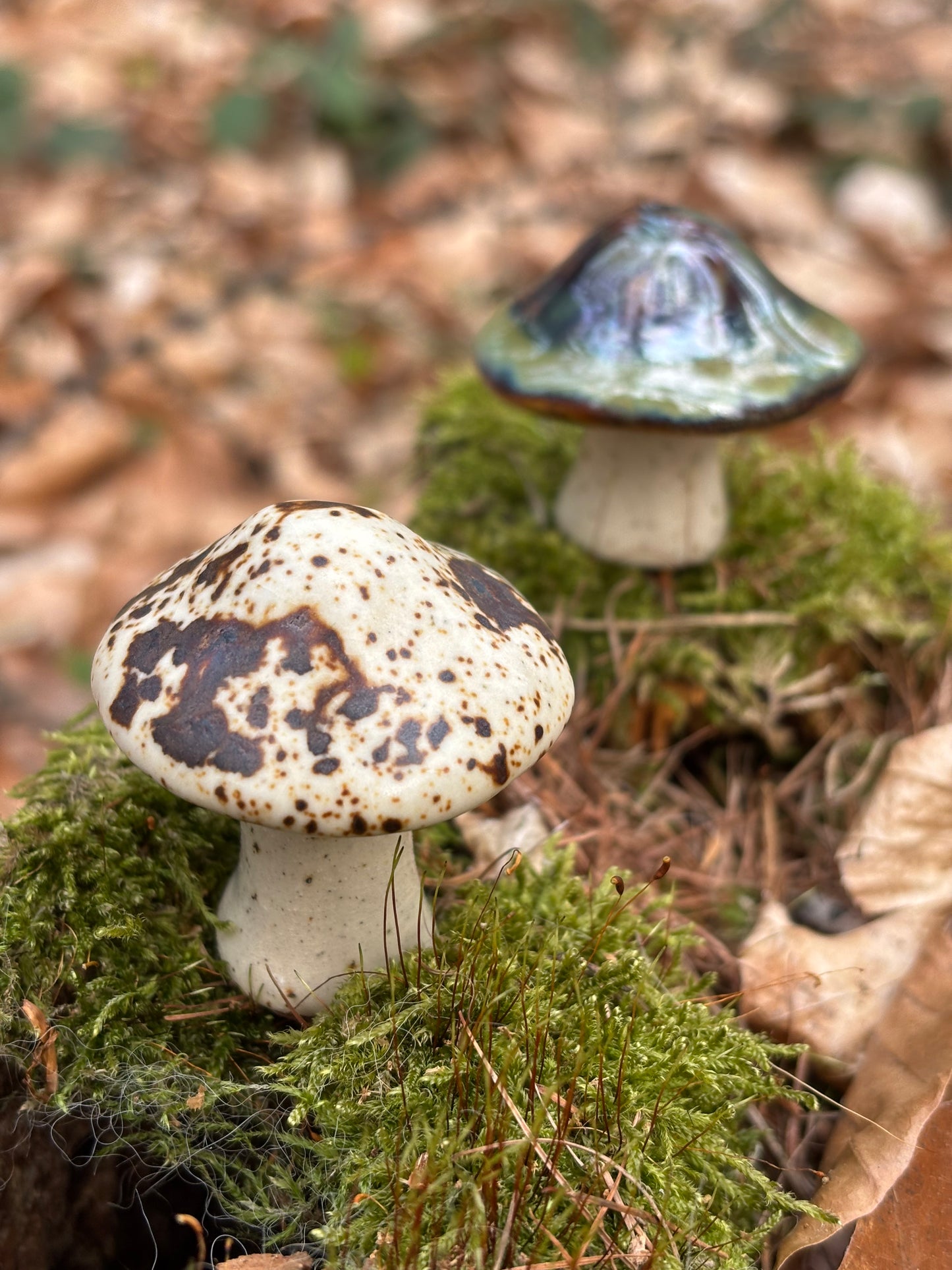 Tiny Mushrooms – Forest Friends for Your Home - AnnaPoloDesign