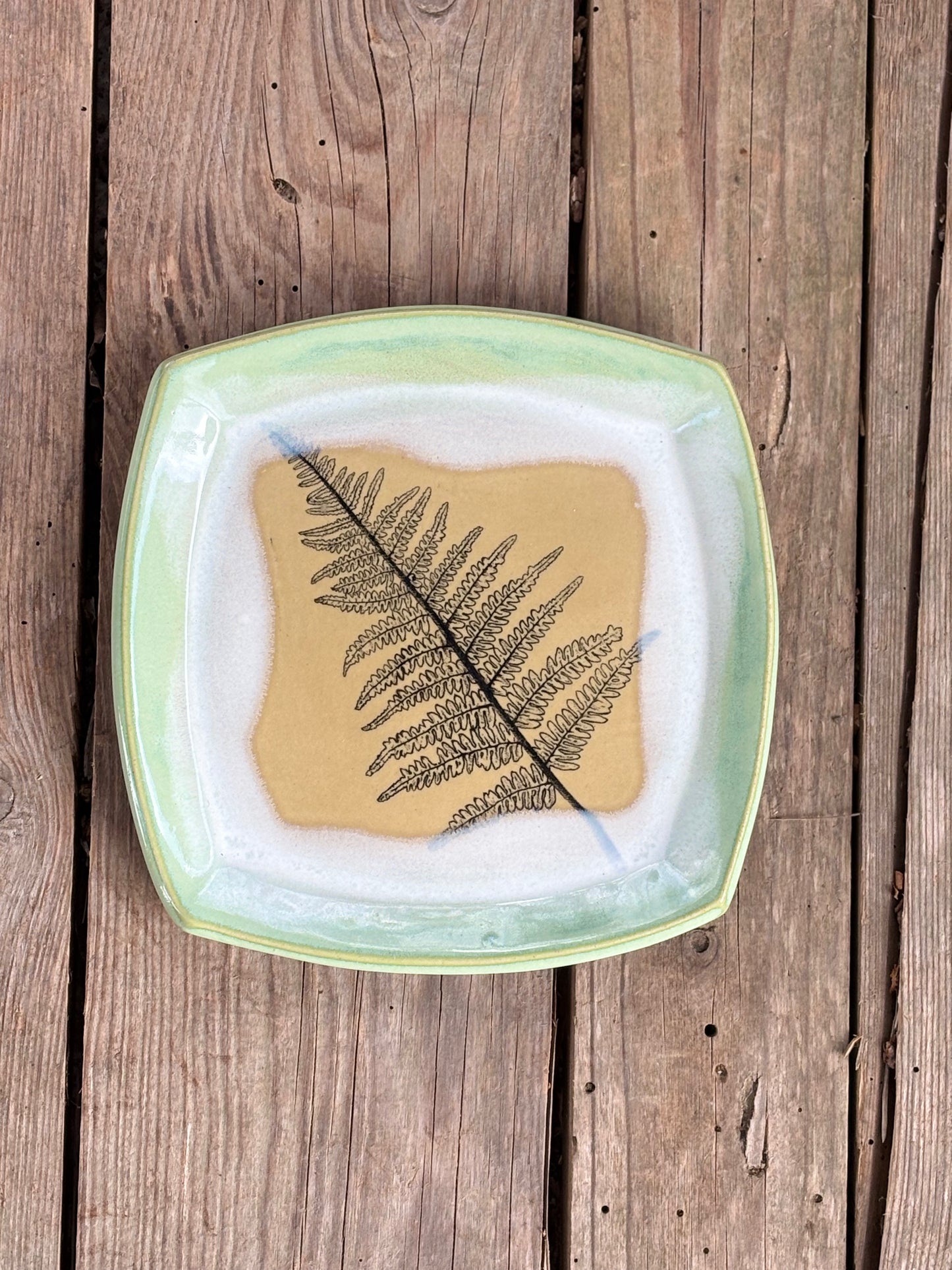 Light Green Fern Plate - AnnaPoloDesign