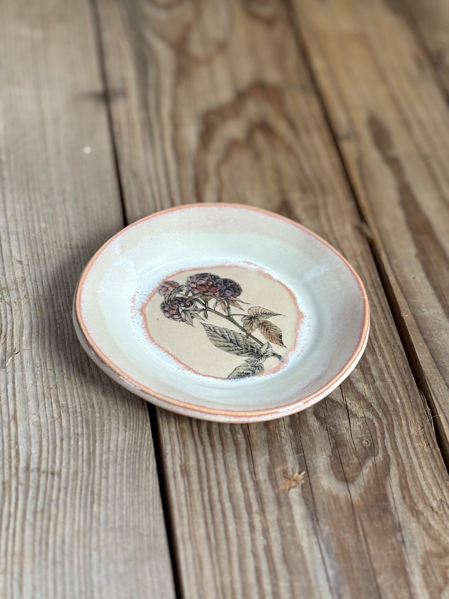 Beige Pink Blackberries Plate - AnnaPoloDesign