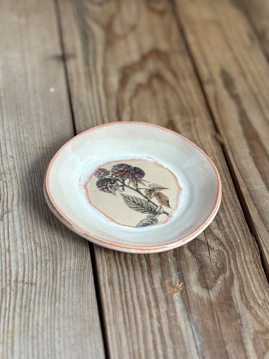 Beige Pink Blackberries Plate - AnnaPoloDesign