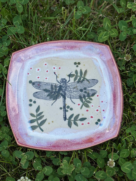 Dragonfly in a meadow