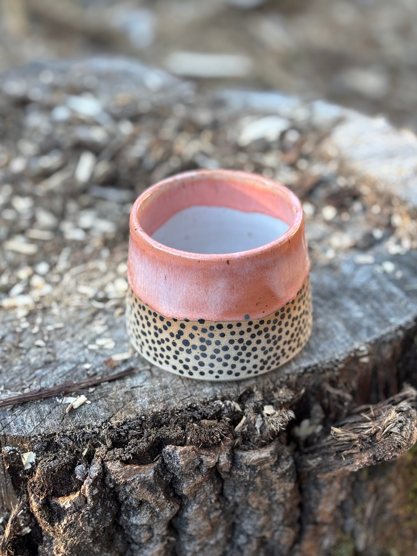 Handleless - Terra Dot Cup