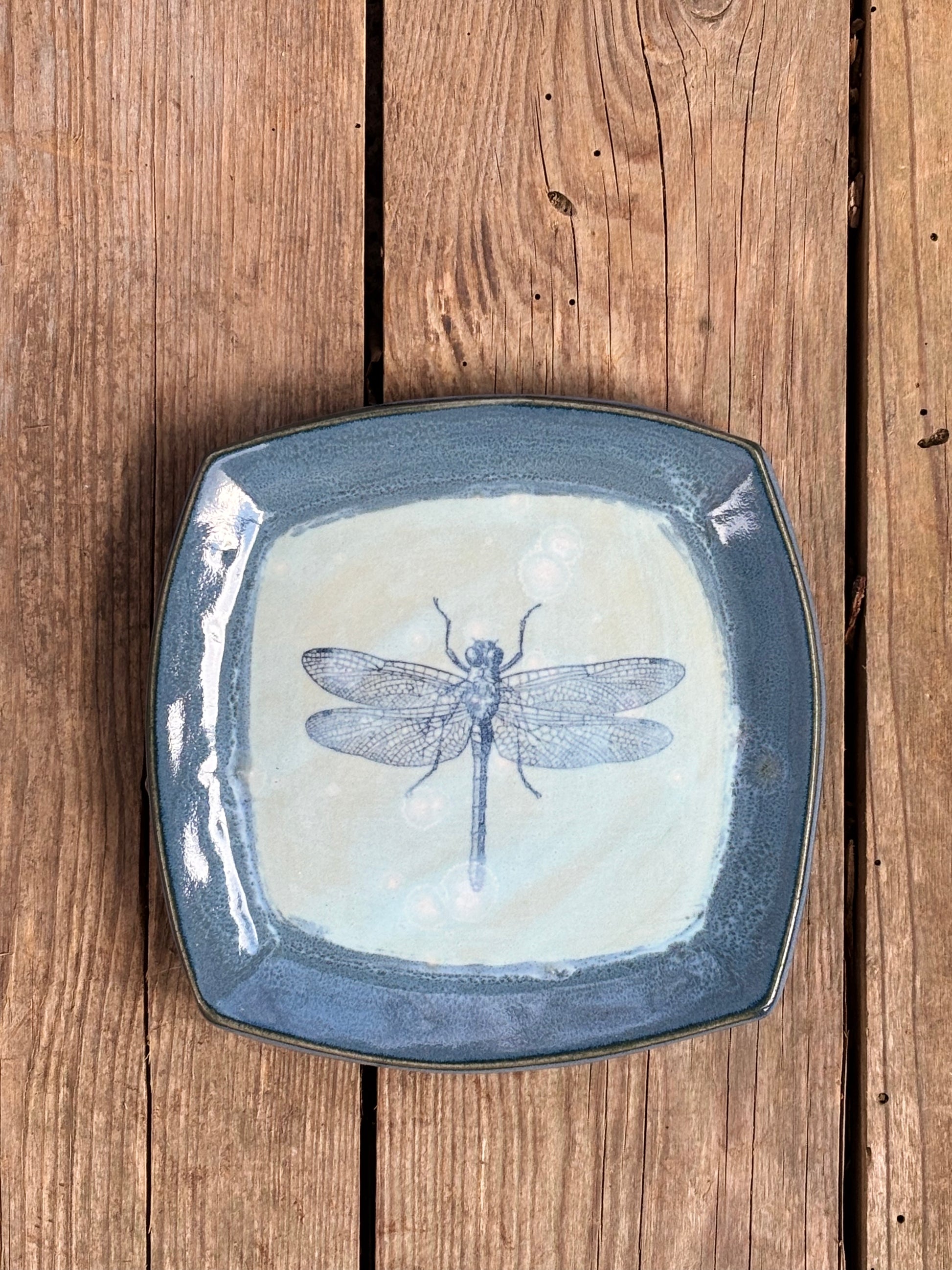 Blue Dragonfly Plate - AnnaPoloDesign