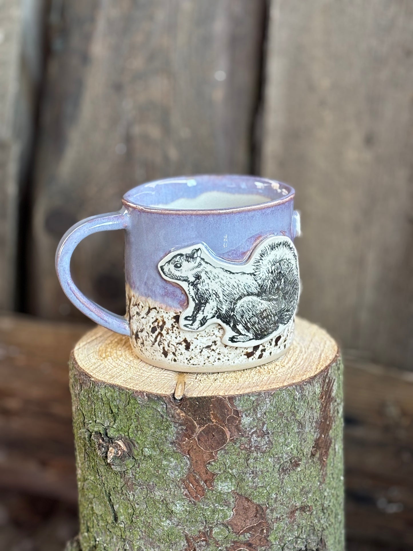 Catch Me Squirrel Mug