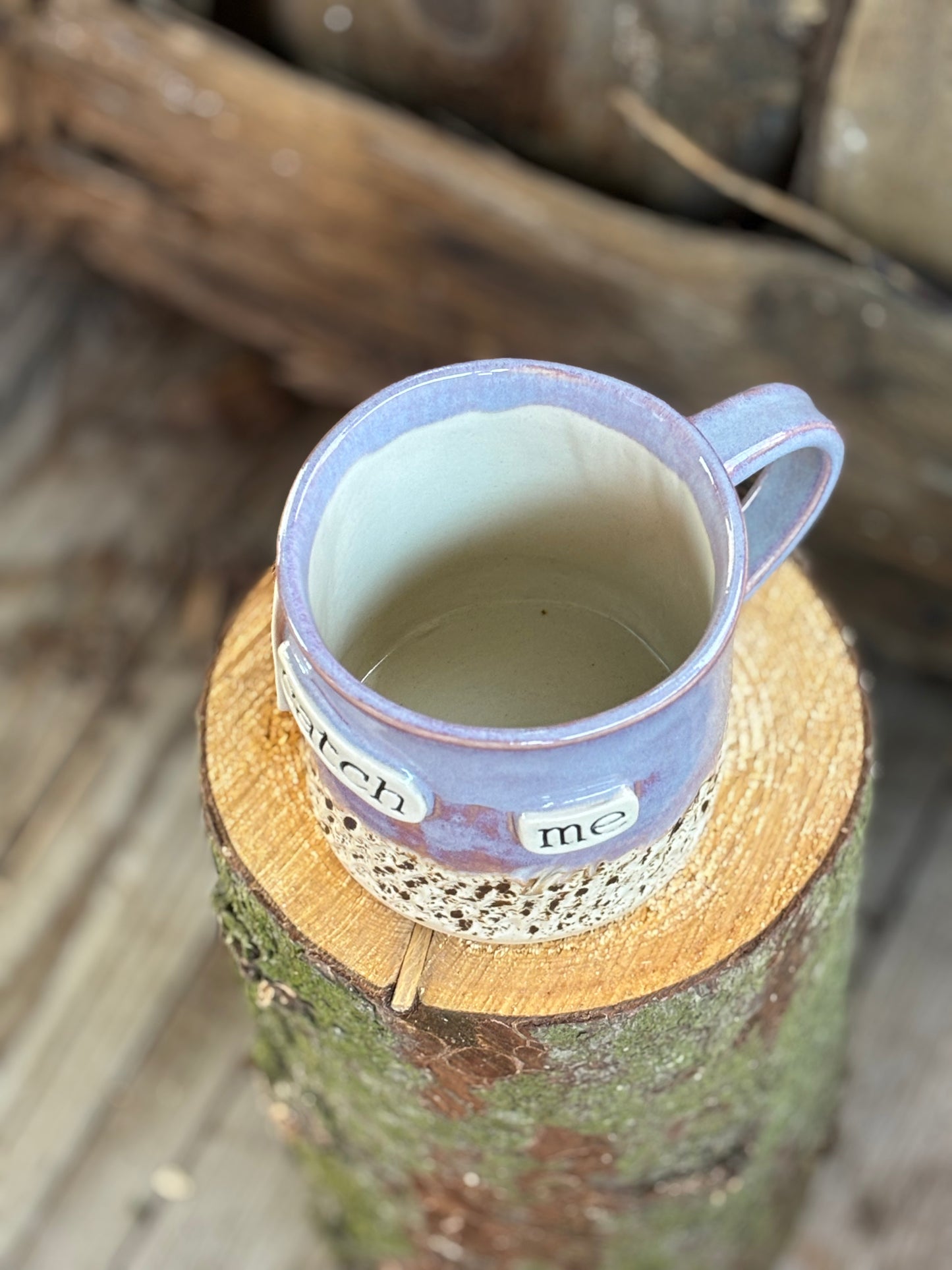 Catch Me Squirrel Mug