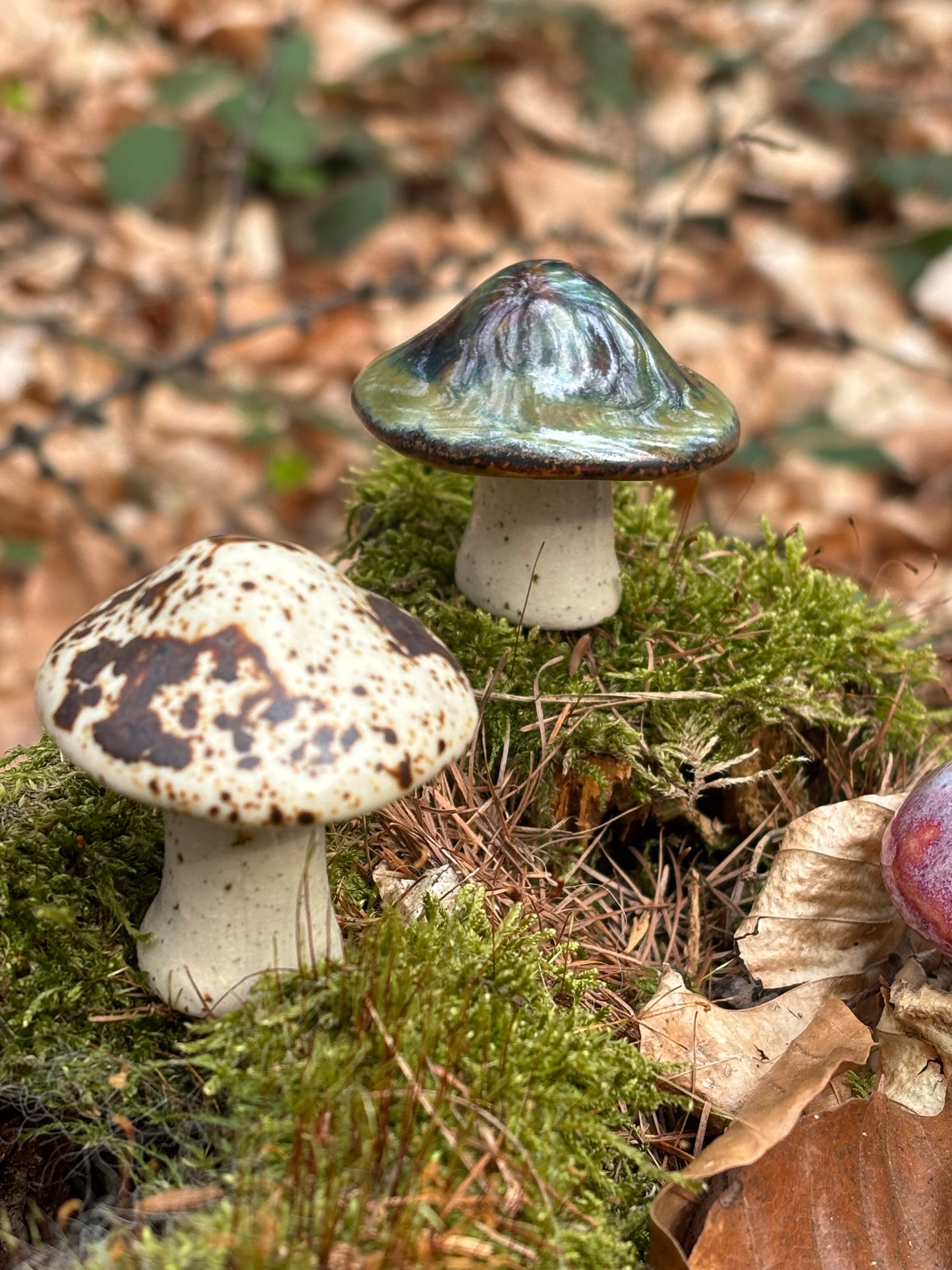 Malí hříbci – lesní přátelé pro váš domov