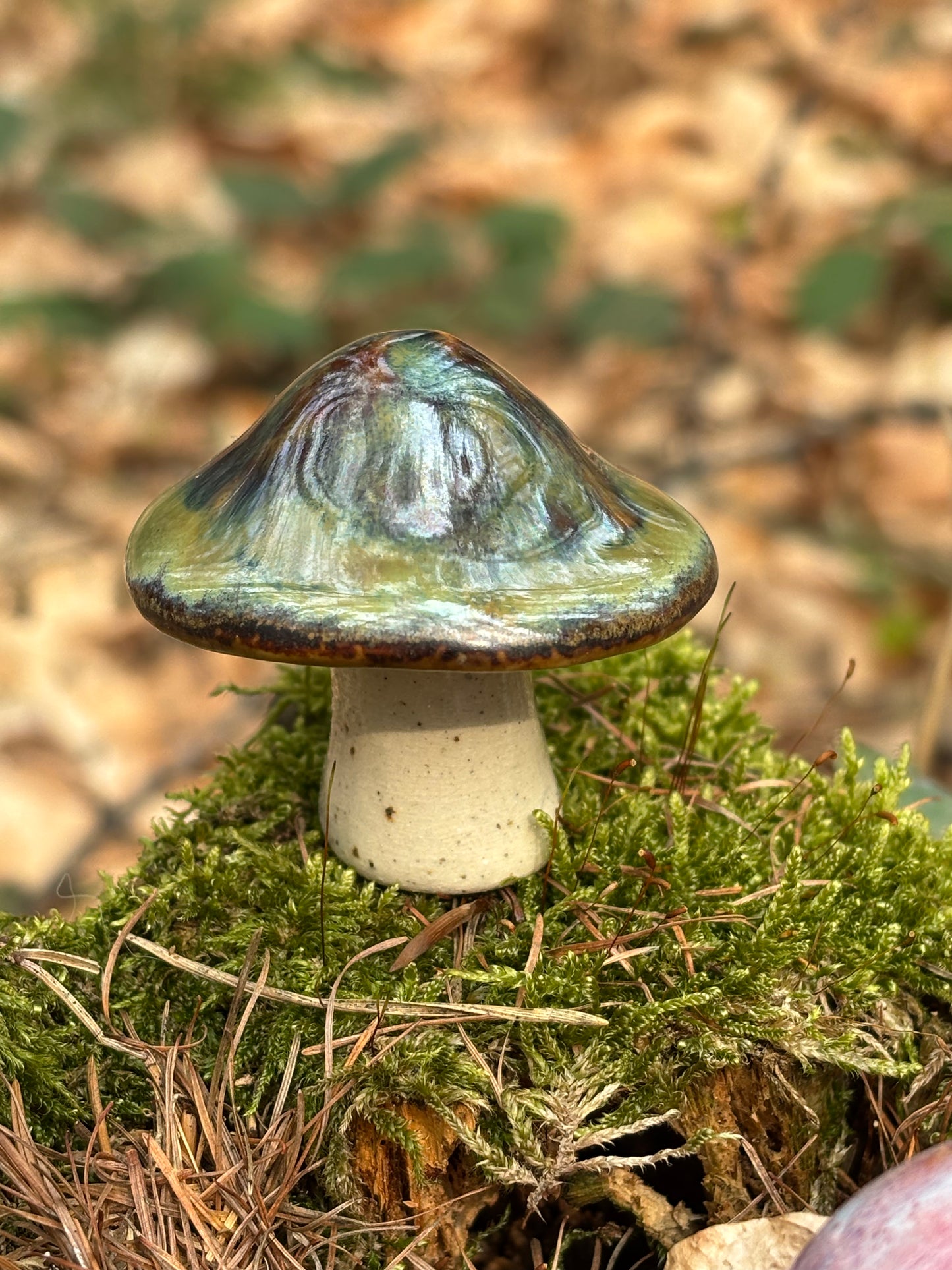 Malí hříbci – lesní přátelé pro váš domov