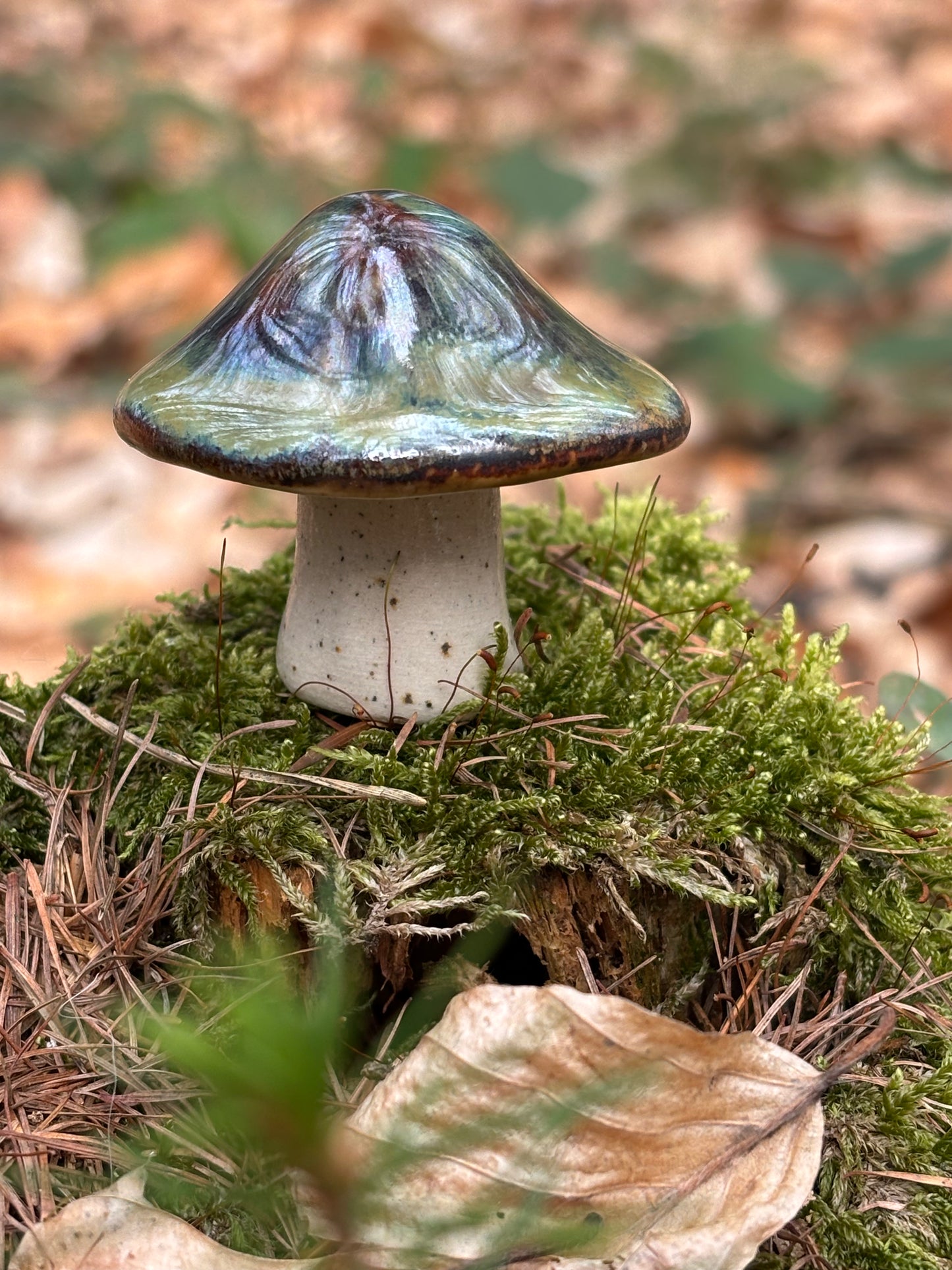 Malí hříbci – lesní přátelé pro váš domov